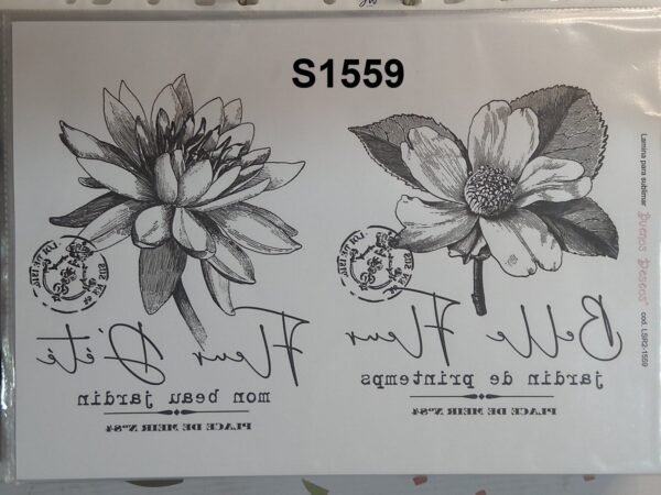 1559