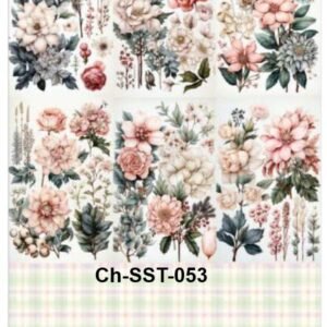Ch-SST-053