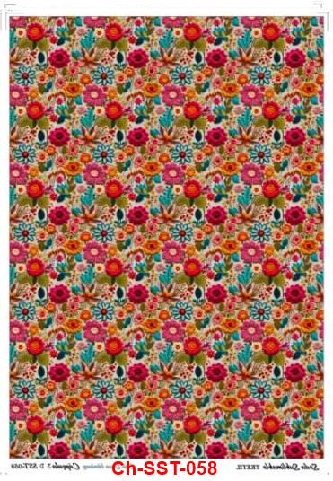 Ch-SST-058
