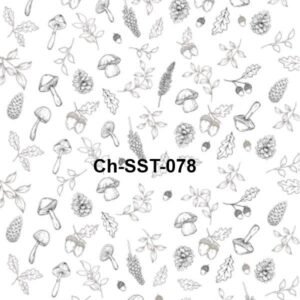Ch-SST-078