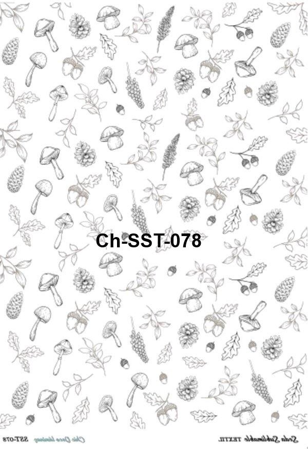 Ch-SST-078