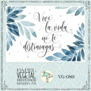 VG089