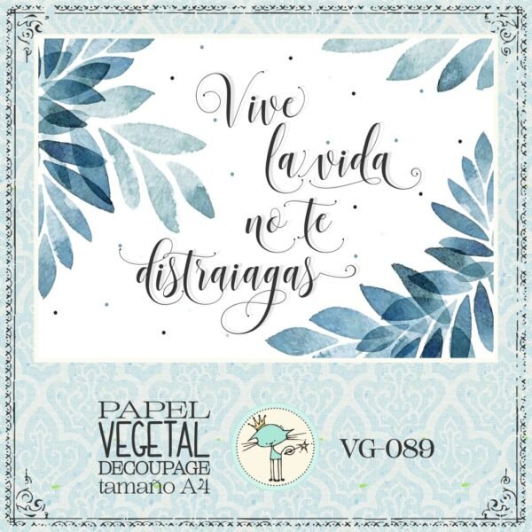 VG089