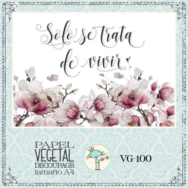 VG100