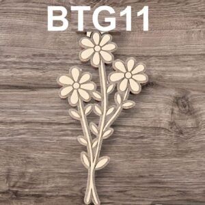 BTG011