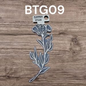 BTG09