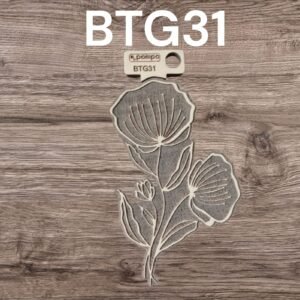 BTG31