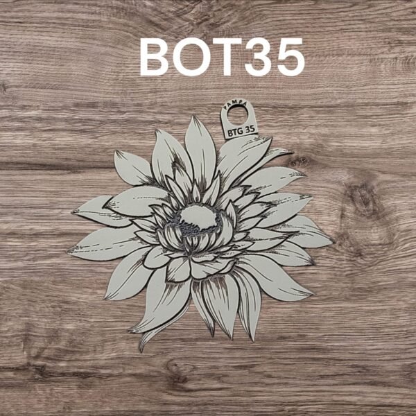 BTG35