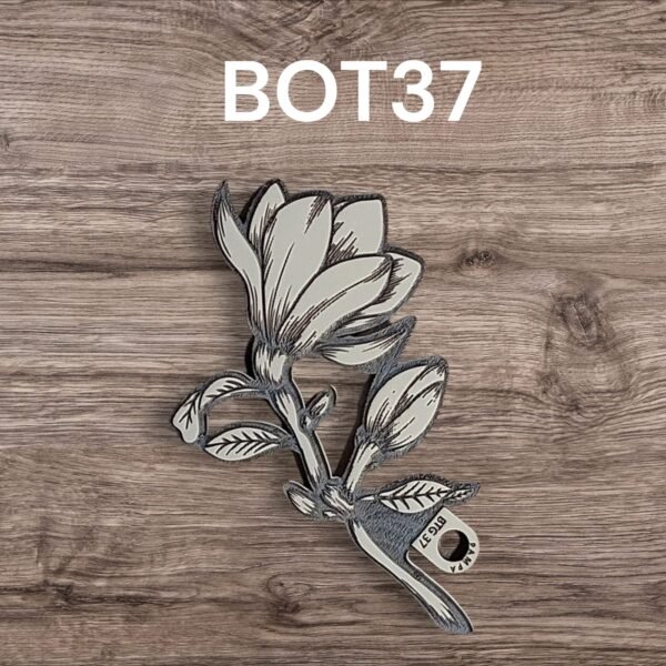 BTG37
