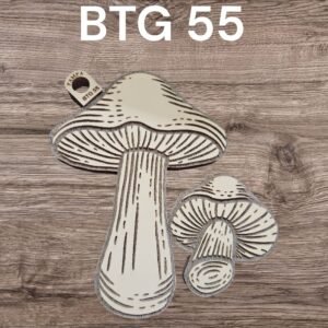 BTG55