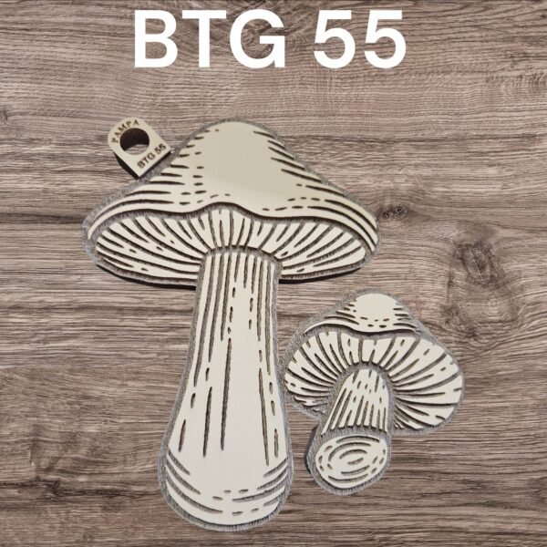 BTG55