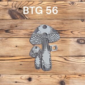 BTG56