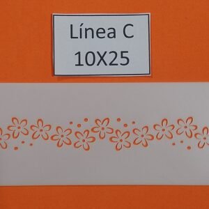 C029