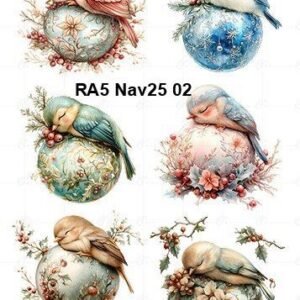 A5-Nav25-02