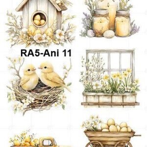 A5-Tr-Ani-11