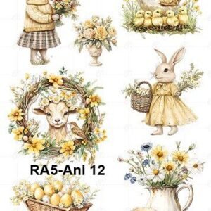 A5-Tr-Ani-12
