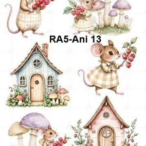 A5-Tr-Ani-13