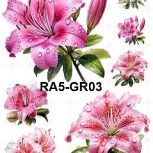 A5-Tr-Gr-03