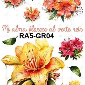 A5-Tr-Gr-04