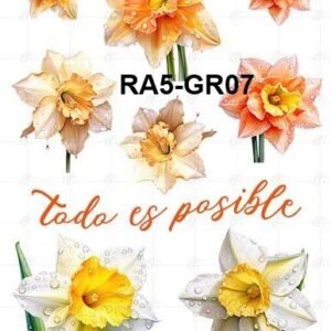 A5-Tr-Gr-07