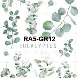 A5-Tr-Gr-12