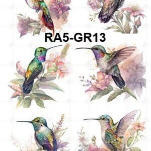 A5-Tr-Gr-13
