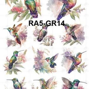 A5-Tr-Gr-14