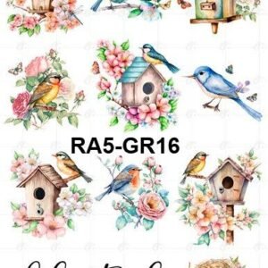 A5-Tr-Gr-16