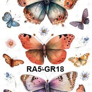 A5-Tr-Gr-18