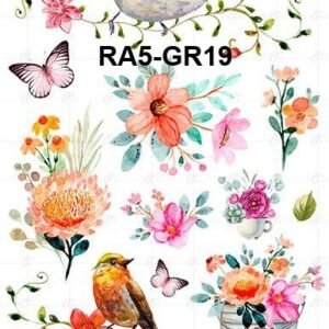 A5-Tr-Gr-19