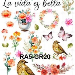 A5-Tr-Gr-20
