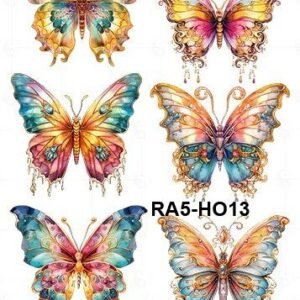A5-Tr-HO13
