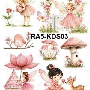A5-Tr-KDS-03