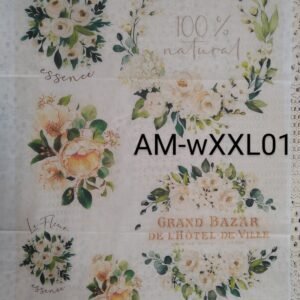 AM-wXXL01