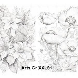 Arts-Gr-XXL01