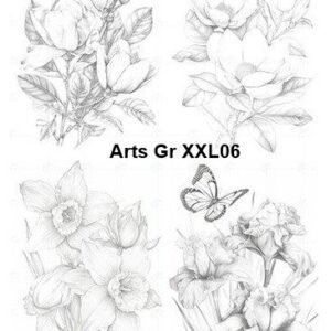 Arts-Gr-XXL06