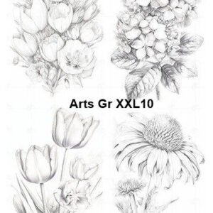 Arts-Gr-XXL10