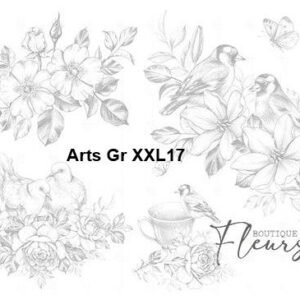 Arts-Gr-XXL17