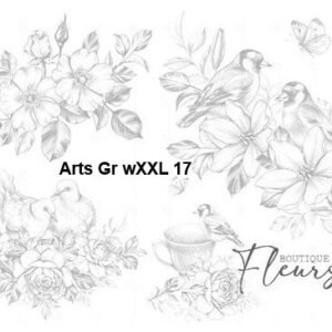 Arts-Gr-wXXL-17