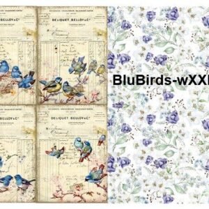 BluBirds-wXXL02