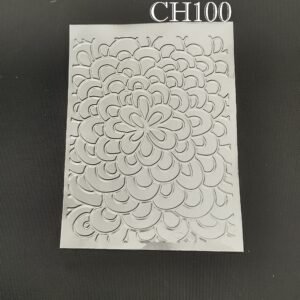 CH0100