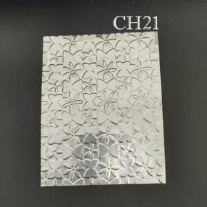 CH021