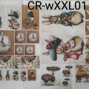 CR-wXXL01