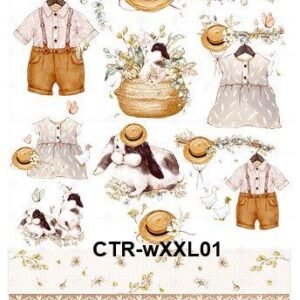 CTR-wXXL01