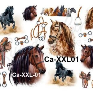 CaXXL01