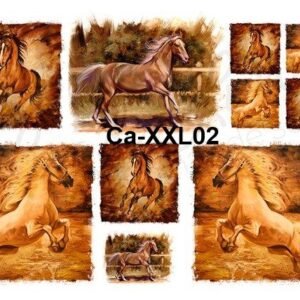 CaXXL02