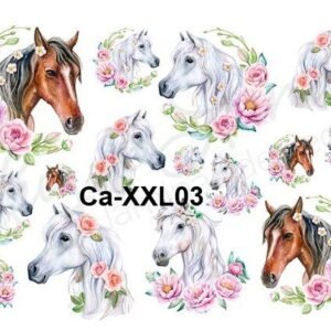CaXXL03