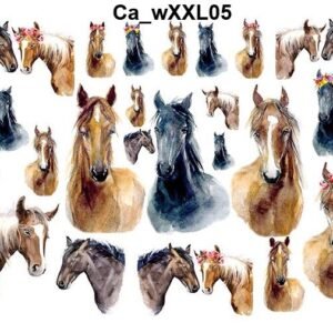 CaXXL05