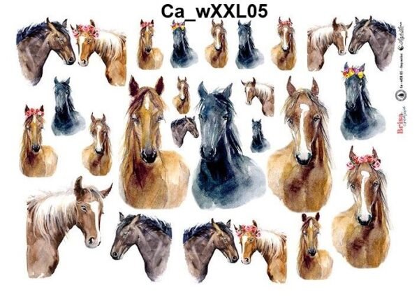 CaXXL05