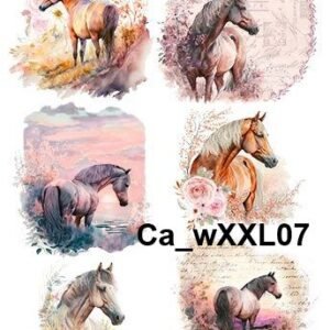 CaXXL07
